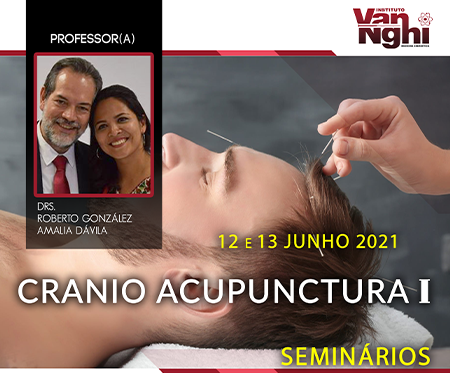 Seminário de CranioAcupunctura I