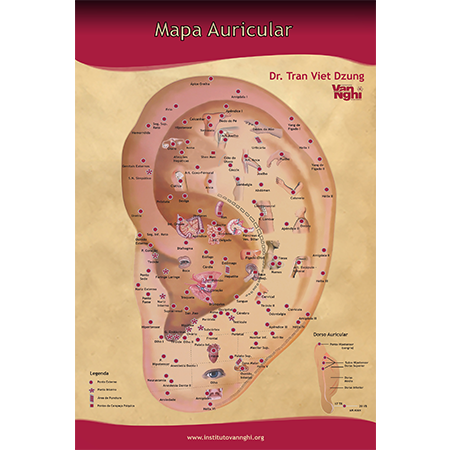 Poster Mapa Auricular